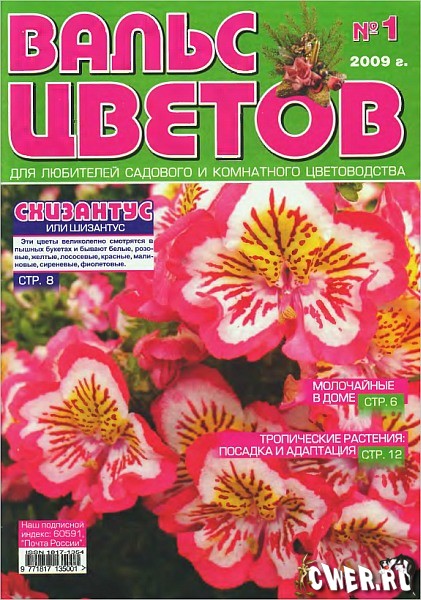 Вальс цветов №1 (январь) 2009