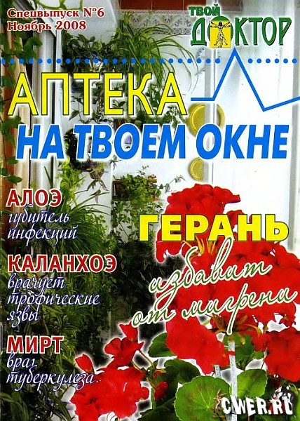 Твой доктор. Спецвыпуск: Аптека на твоём окне №6 (ноябрь) 2008