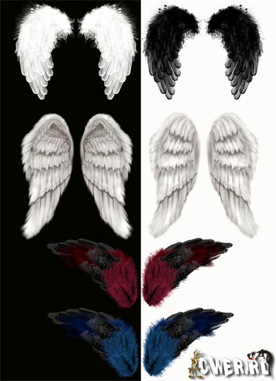 Angel Wings