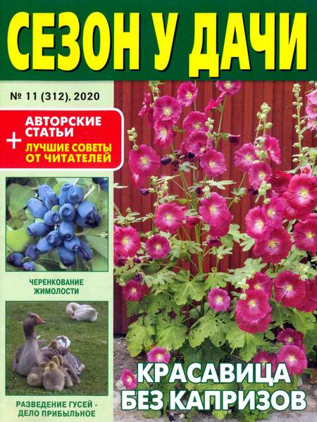 журнал газета Сезон у дачи №11 июнь 2020