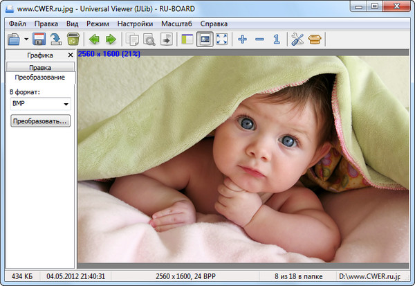 Universal Viewer Pro