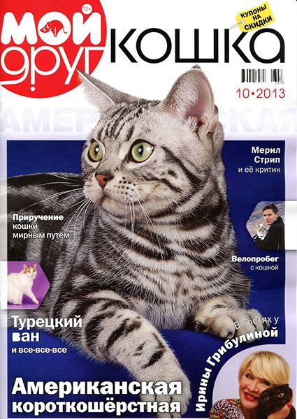 Мой друг кошка №10 2013