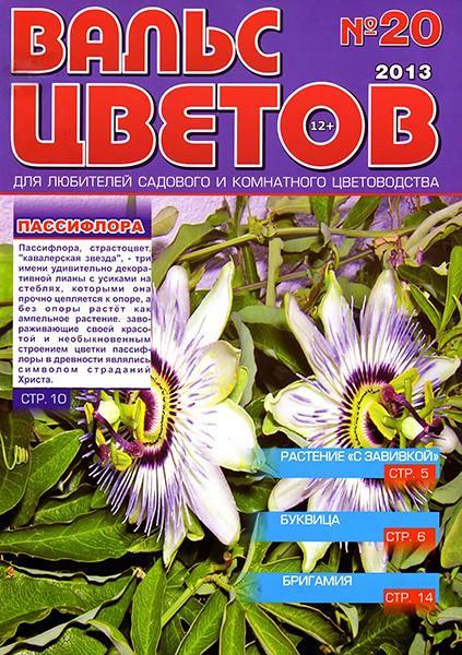 Вальс цветов №20 2013