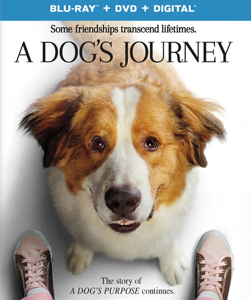 A Dog's Journey