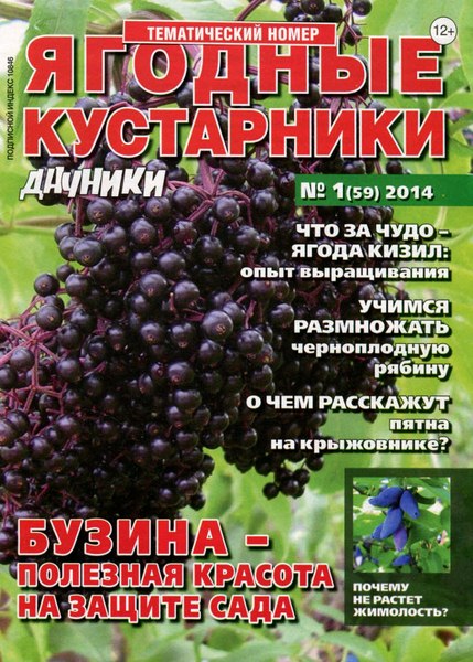 Дачники №1 (январь 2015)