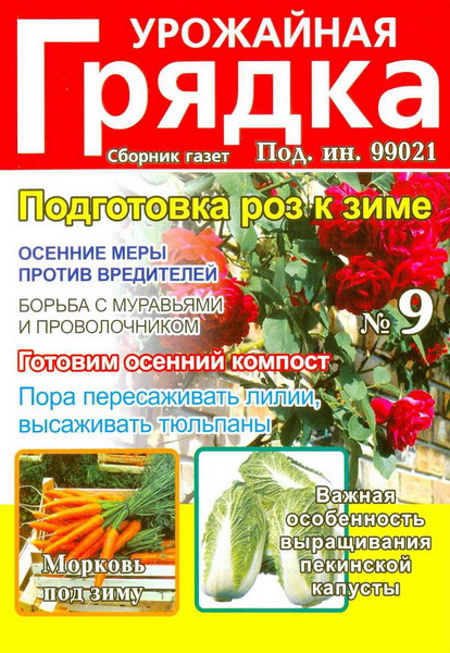 Урожайная грядка №9 (сентябрь 2012)