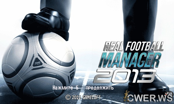 Real Football Manager 2013