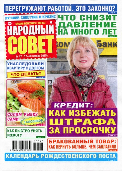 Народный совет 47 2015