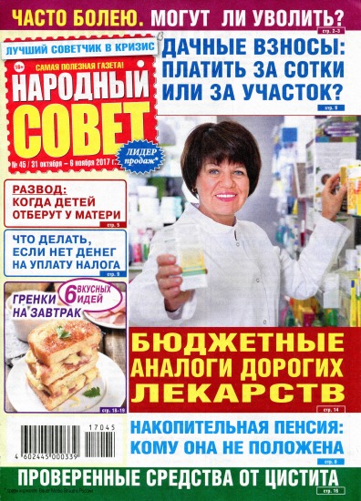 Народный совет 45 2017