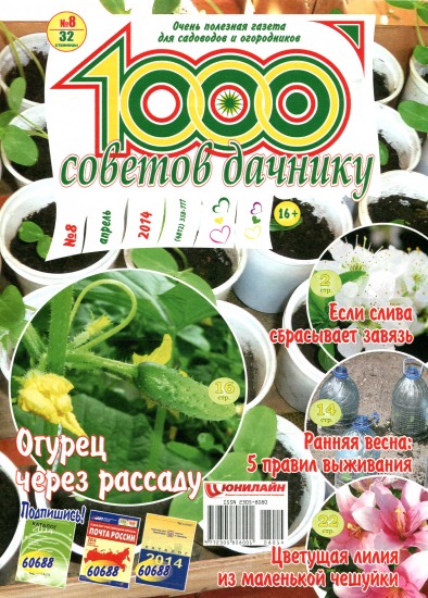 1000 советов дачнику 8 2014