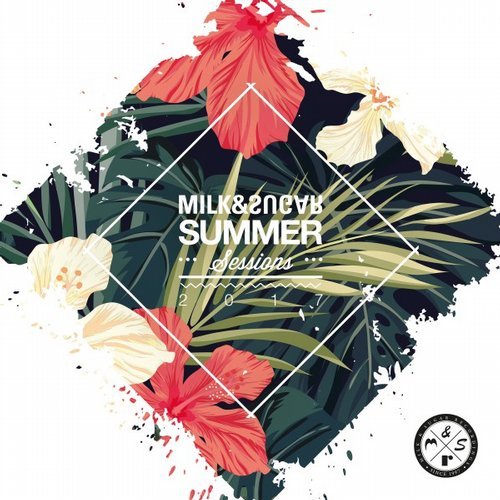 Milk & Sugar. Summer Sessions