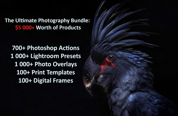 The Ultimate Photography Bundle