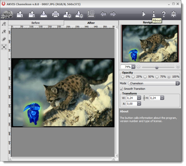 AKVIS Chameleon 8.0.1720