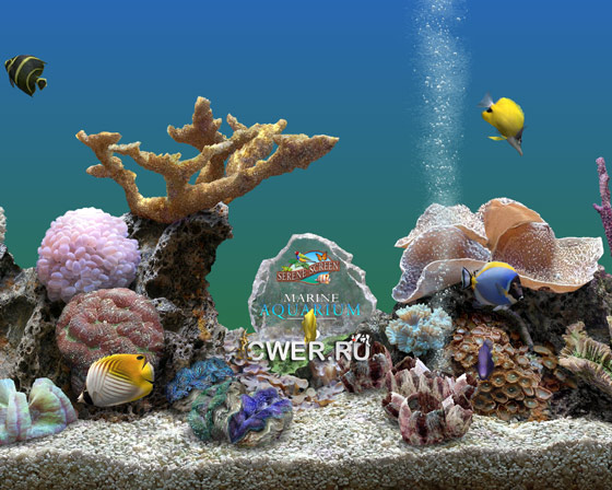 SereneScreen Marine Aquarium v3.2.5991