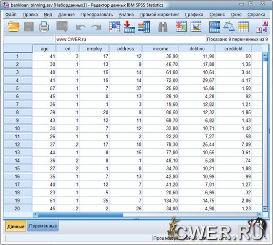 IBM SPSS Statistics 20