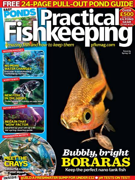 Practical Fishkeeping (Spring 2016)